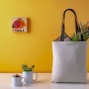 Eco Friendly Bag 1