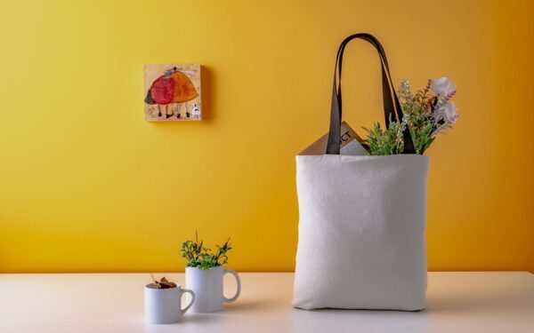 Eco Friendly Bag 1